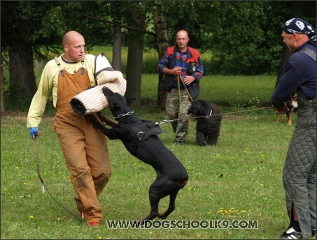 Training camp - Lukova 2007